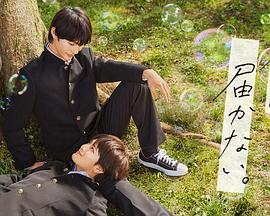 苏州网站排名优化方案